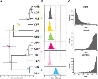 Differential Genome Size and Repetitive DNA Evolution in Diploid Species of Melampodium sect. Melampodium (Asteraceae)